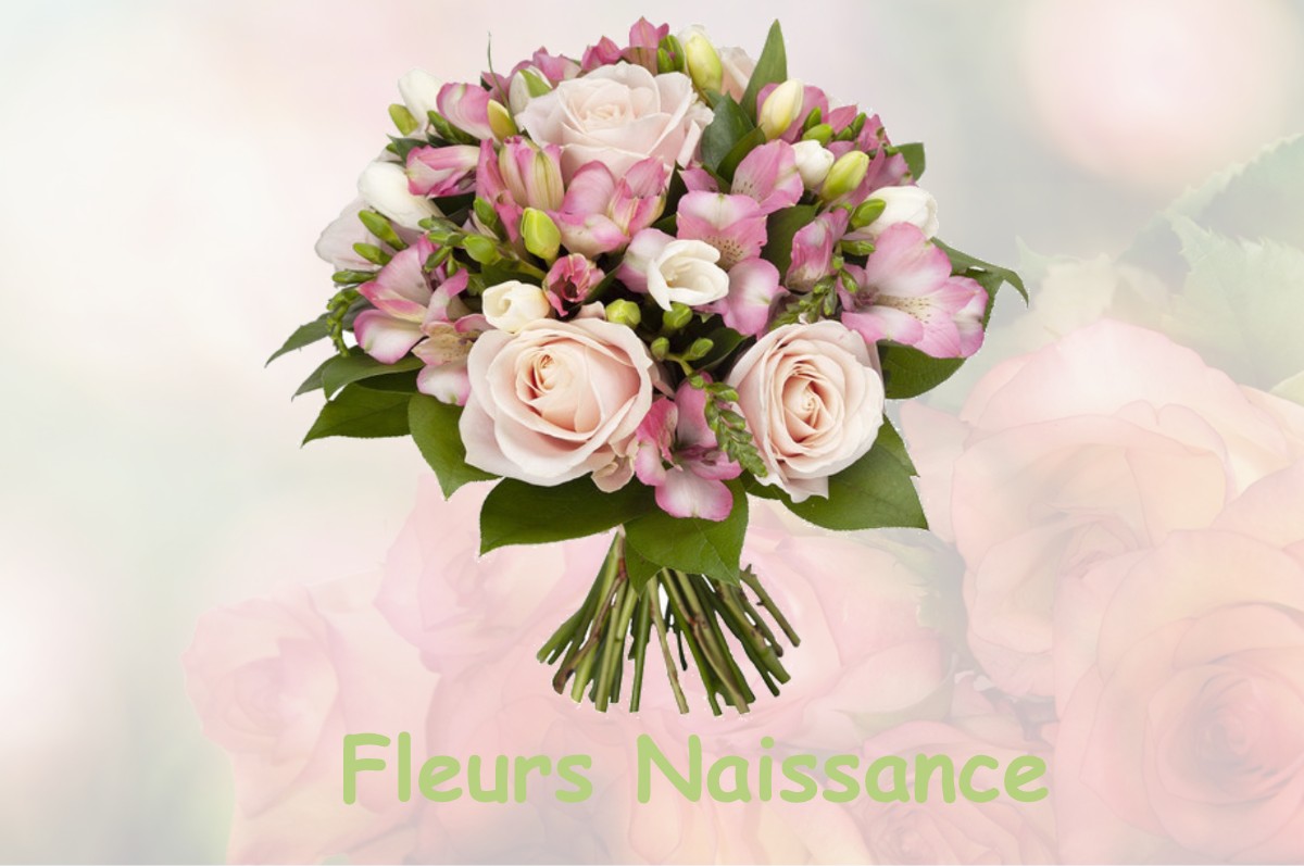 fleurs naissance SAINT-CEZAIRE-SUR-SIAGNE