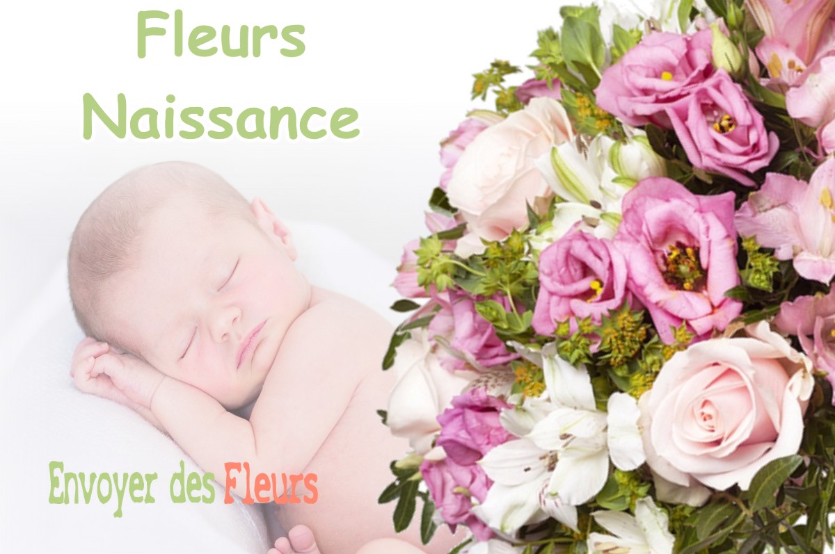 lIVRAISON FLEURS NAISSANCE à SAINT-CEZAIRE-SUR-SIAGNE